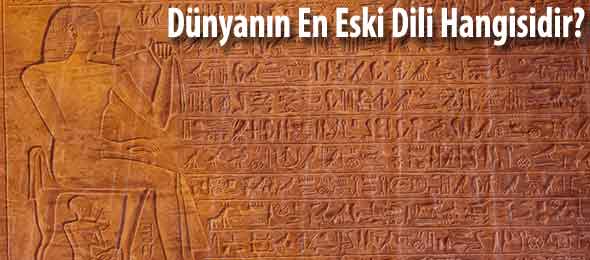 Dünyanın İlk Dili: Bilimsel Bulgular ve Köken Tartışmaları